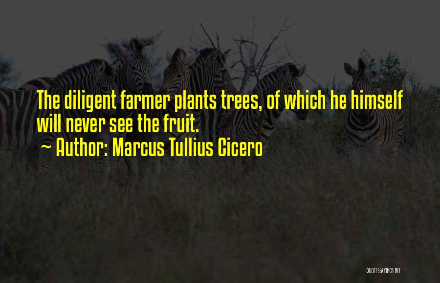 Marcus Tullius Cicero Quotes: The Diligent Farmer Plants Trees, Of Which He Himself Will Never See The Fruit.
