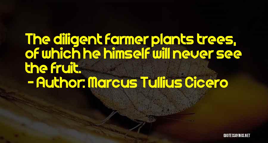Marcus Tullius Cicero Quotes: The Diligent Farmer Plants Trees, Of Which He Himself Will Never See The Fruit.