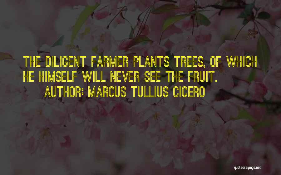 Marcus Tullius Cicero Quotes: The Diligent Farmer Plants Trees, Of Which He Himself Will Never See The Fruit.