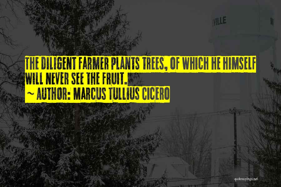 Marcus Tullius Cicero Quotes: The Diligent Farmer Plants Trees, Of Which He Himself Will Never See The Fruit.