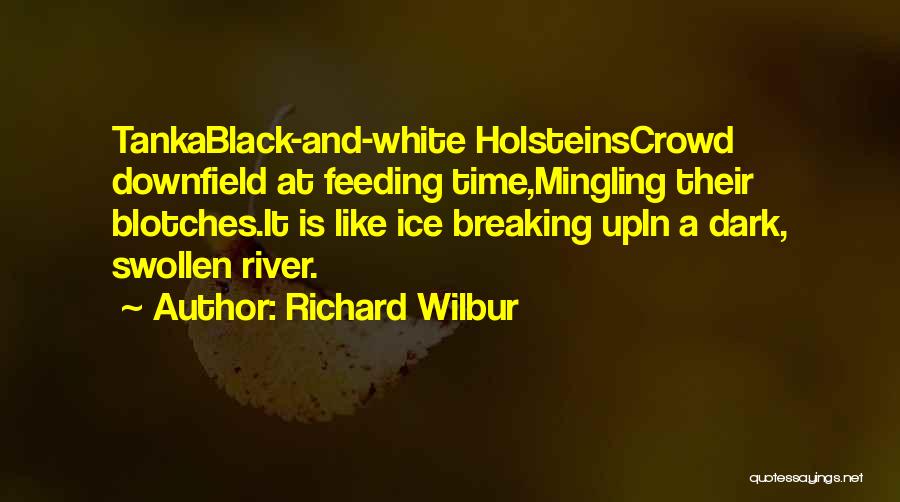 Richard Wilbur Quotes: Tankablack-and-white Holsteinscrowd Downfield At Feeding Time,mingling Their Blotches.it Is Like Ice Breaking Upin A Dark, Swollen River.