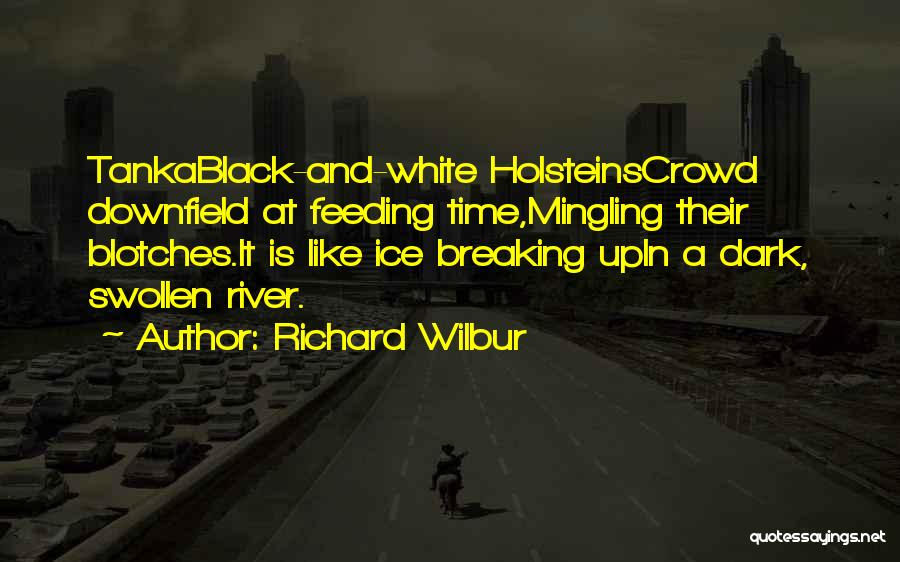 Richard Wilbur Quotes: Tankablack-and-white Holsteinscrowd Downfield At Feeding Time,mingling Their Blotches.it Is Like Ice Breaking Upin A Dark, Swollen River.