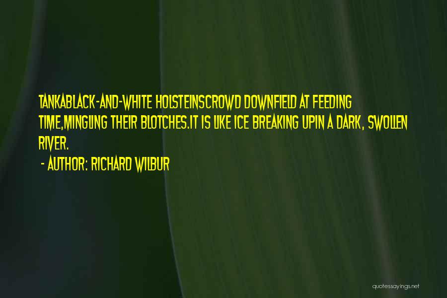 Richard Wilbur Quotes: Tankablack-and-white Holsteinscrowd Downfield At Feeding Time,mingling Their Blotches.it Is Like Ice Breaking Upin A Dark, Swollen River.