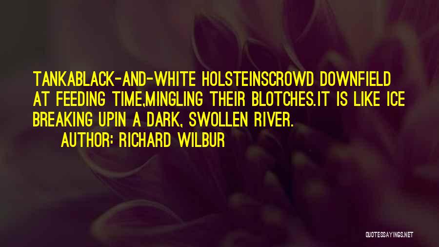 Richard Wilbur Quotes: Tankablack-and-white Holsteinscrowd Downfield At Feeding Time,mingling Their Blotches.it Is Like Ice Breaking Upin A Dark, Swollen River.