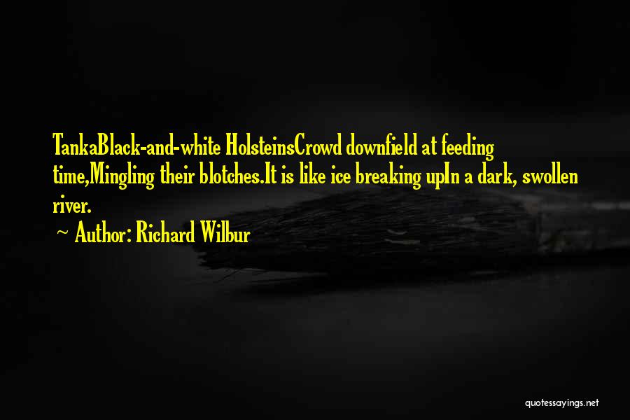 Richard Wilbur Quotes: Tankablack-and-white Holsteinscrowd Downfield At Feeding Time,mingling Their Blotches.it Is Like Ice Breaking Upin A Dark, Swollen River.