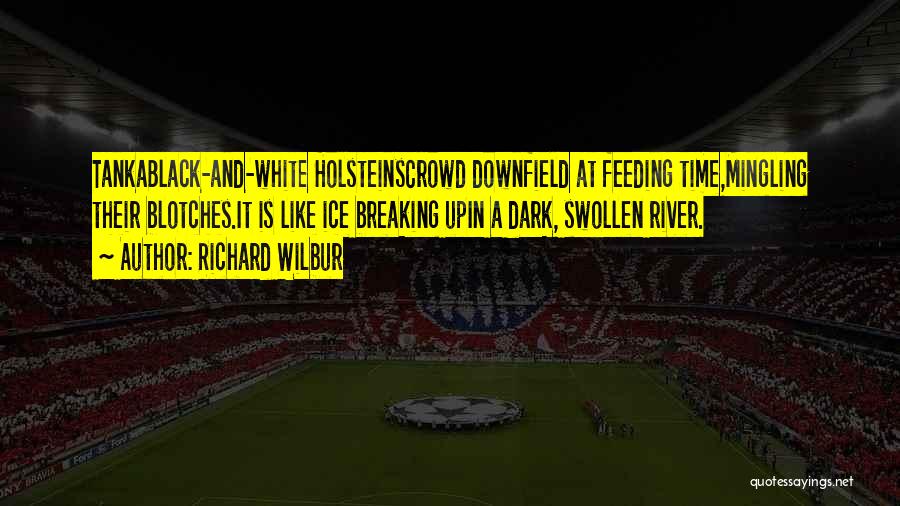Richard Wilbur Quotes: Tankablack-and-white Holsteinscrowd Downfield At Feeding Time,mingling Their Blotches.it Is Like Ice Breaking Upin A Dark, Swollen River.