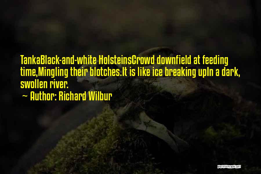 Richard Wilbur Quotes: Tankablack-and-white Holsteinscrowd Downfield At Feeding Time,mingling Their Blotches.it Is Like Ice Breaking Upin A Dark, Swollen River.