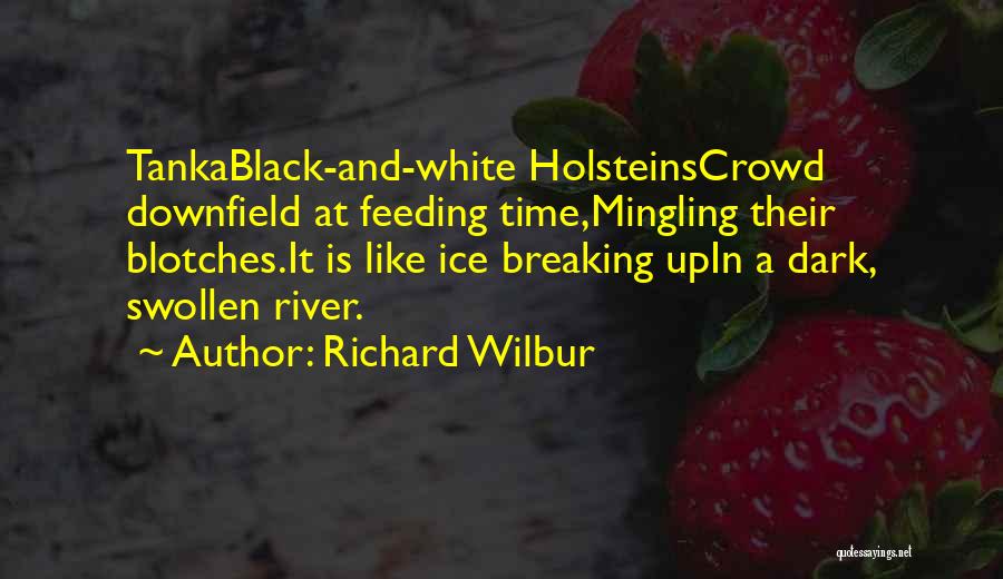 Richard Wilbur Quotes: Tankablack-and-white Holsteinscrowd Downfield At Feeding Time,mingling Their Blotches.it Is Like Ice Breaking Upin A Dark, Swollen River.