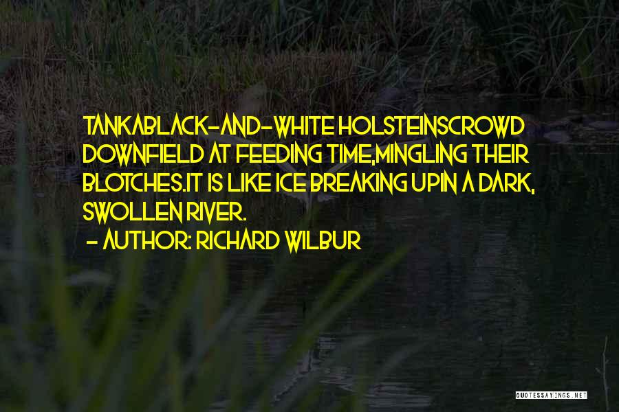 Richard Wilbur Quotes: Tankablack-and-white Holsteinscrowd Downfield At Feeding Time,mingling Their Blotches.it Is Like Ice Breaking Upin A Dark, Swollen River.