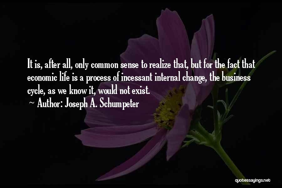 Joseph A. Schumpeter Quotes: It Is, After All, Only Common Sense To Realize That, But For The Fact That Economic Life Is A Process