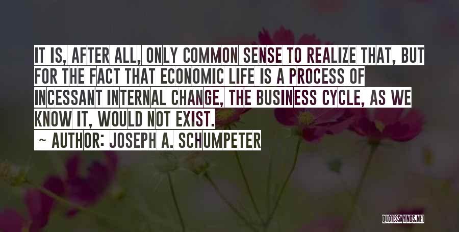 Joseph A. Schumpeter Quotes: It Is, After All, Only Common Sense To Realize That, But For The Fact That Economic Life Is A Process