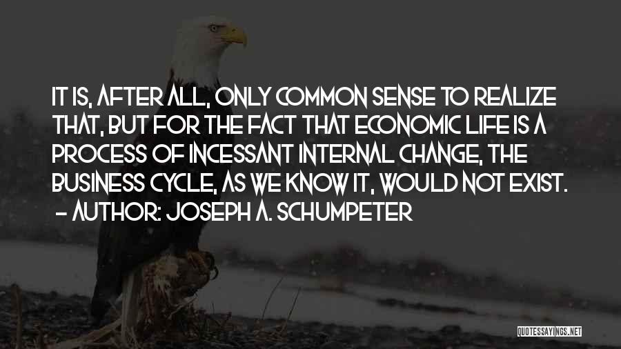 Joseph A. Schumpeter Quotes: It Is, After All, Only Common Sense To Realize That, But For The Fact That Economic Life Is A Process