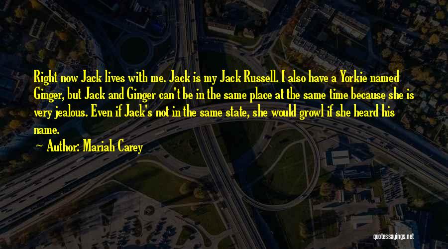 Mariah Carey Quotes: Right Now Jack Lives With Me. Jack Is My Jack Russell. I Also Have A Yorkie Named Ginger, But Jack