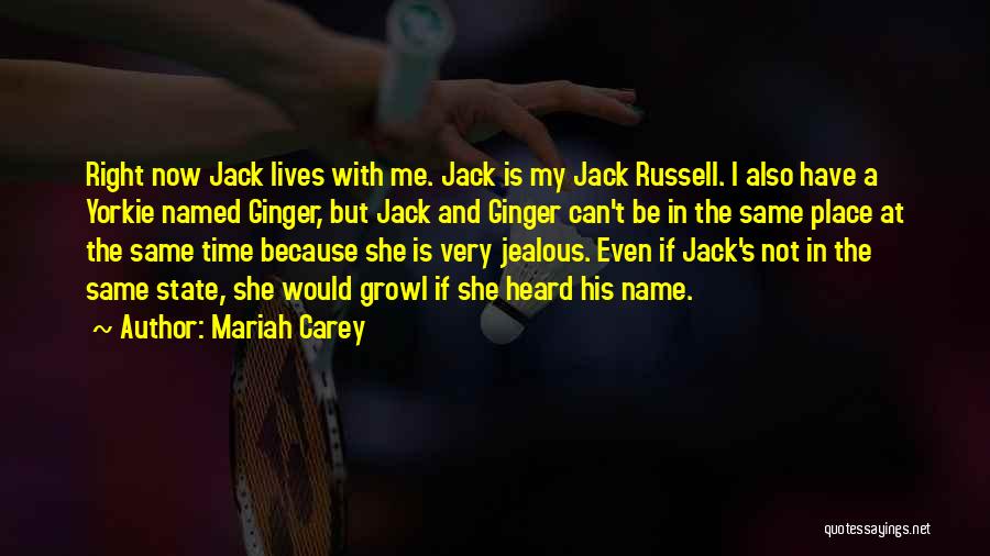 Mariah Carey Quotes: Right Now Jack Lives With Me. Jack Is My Jack Russell. I Also Have A Yorkie Named Ginger, But Jack