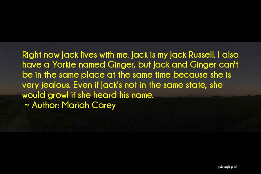 Mariah Carey Quotes: Right Now Jack Lives With Me. Jack Is My Jack Russell. I Also Have A Yorkie Named Ginger, But Jack