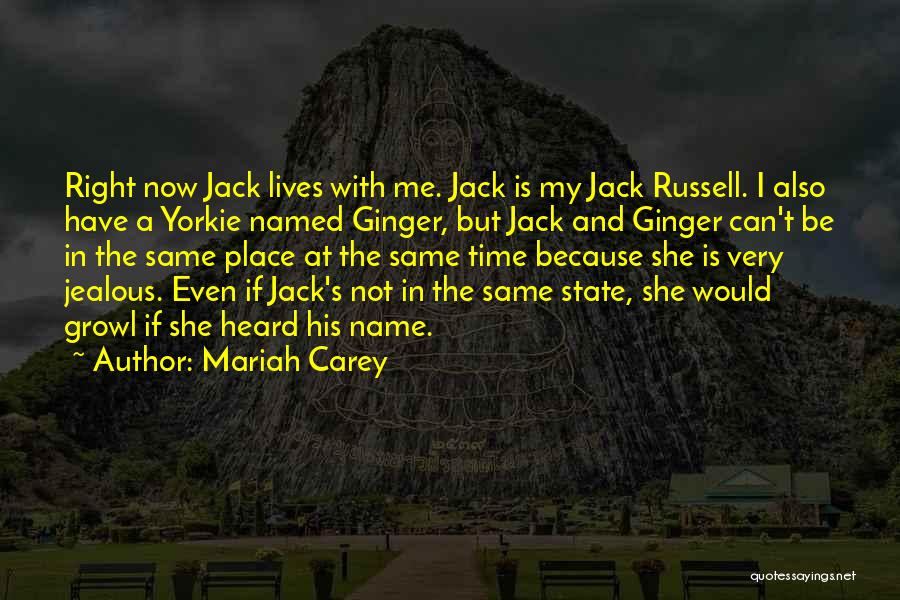 Mariah Carey Quotes: Right Now Jack Lives With Me. Jack Is My Jack Russell. I Also Have A Yorkie Named Ginger, But Jack