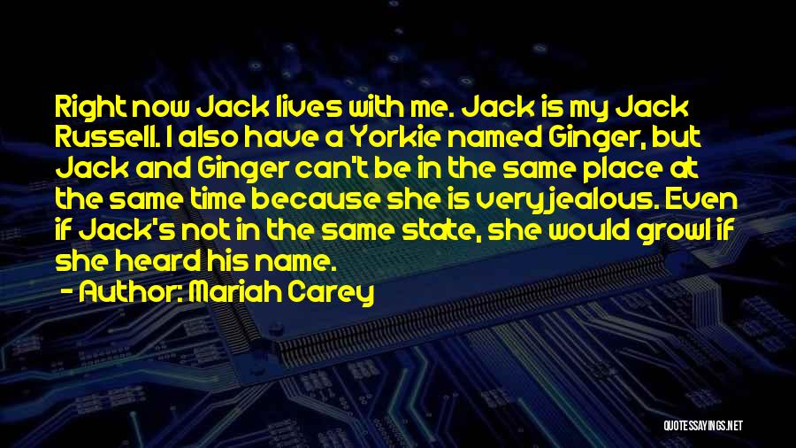 Mariah Carey Quotes: Right Now Jack Lives With Me. Jack Is My Jack Russell. I Also Have A Yorkie Named Ginger, But Jack