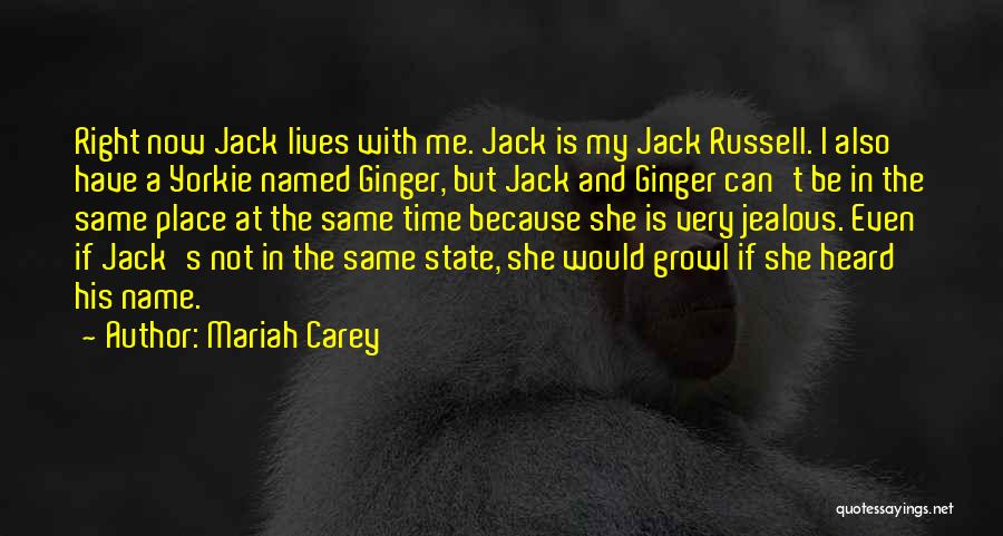 Mariah Carey Quotes: Right Now Jack Lives With Me. Jack Is My Jack Russell. I Also Have A Yorkie Named Ginger, But Jack