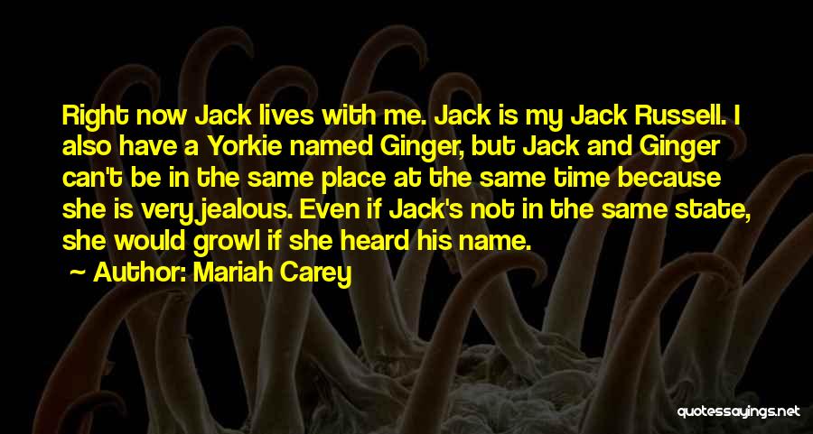 Mariah Carey Quotes: Right Now Jack Lives With Me. Jack Is My Jack Russell. I Also Have A Yorkie Named Ginger, But Jack