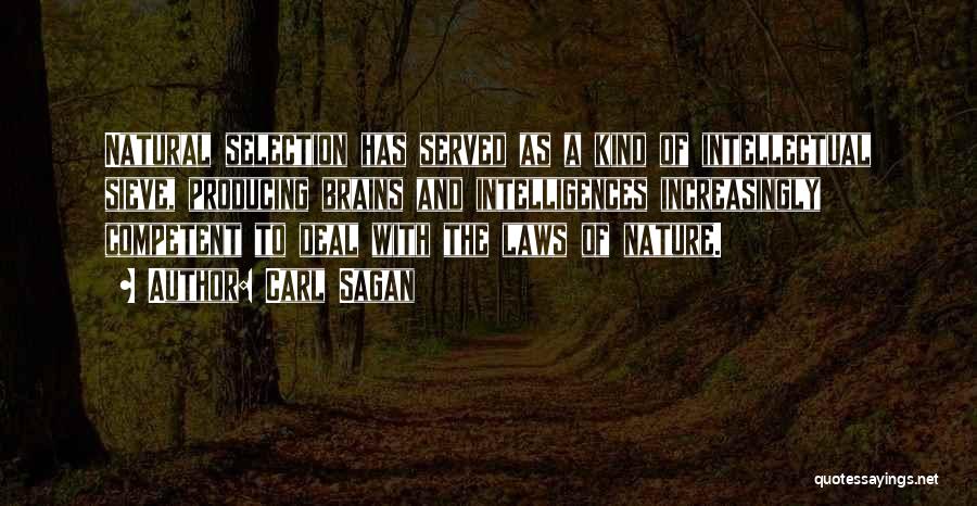 Carl Sagan Quotes: Natural Selection Has Served As A Kind Of Intellectual Sieve, Producing Brains And Intelligences Increasingly Competent To Deal With The