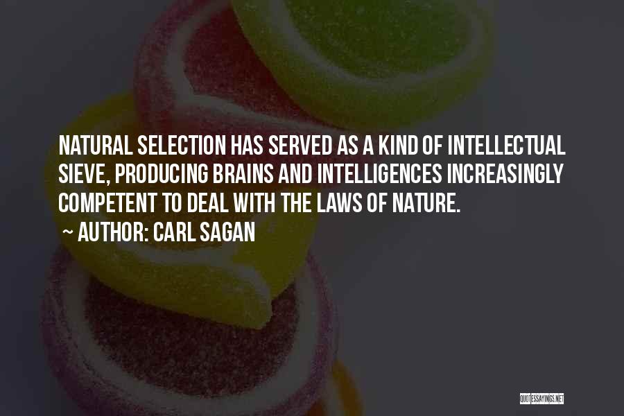 Carl Sagan Quotes: Natural Selection Has Served As A Kind Of Intellectual Sieve, Producing Brains And Intelligences Increasingly Competent To Deal With The