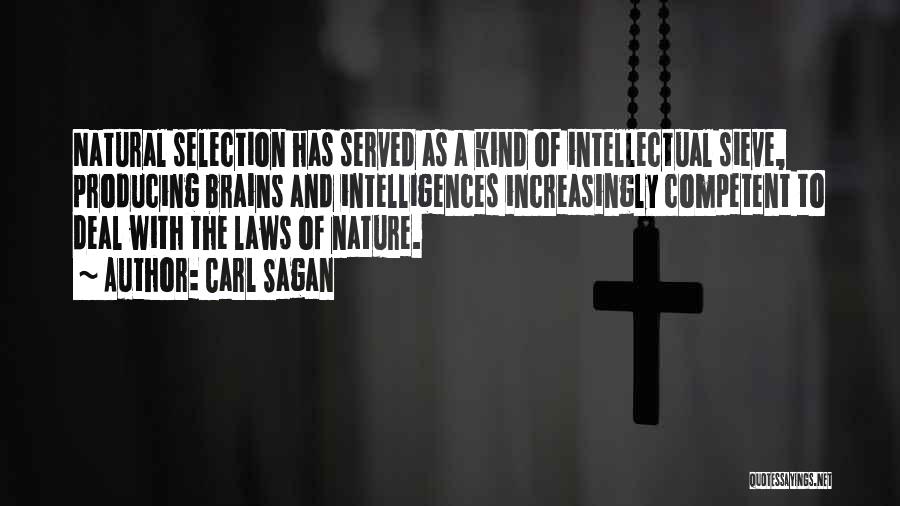 Carl Sagan Quotes: Natural Selection Has Served As A Kind Of Intellectual Sieve, Producing Brains And Intelligences Increasingly Competent To Deal With The