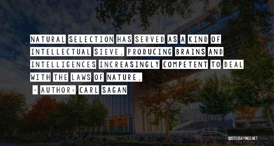 Carl Sagan Quotes: Natural Selection Has Served As A Kind Of Intellectual Sieve, Producing Brains And Intelligences Increasingly Competent To Deal With The