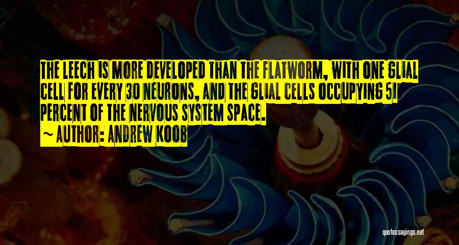 Andrew Koob Quotes: The Leech Is More Developed Than The Flatworm, With One Glial Cell For Every 30 Neurons, And The Glial Cells