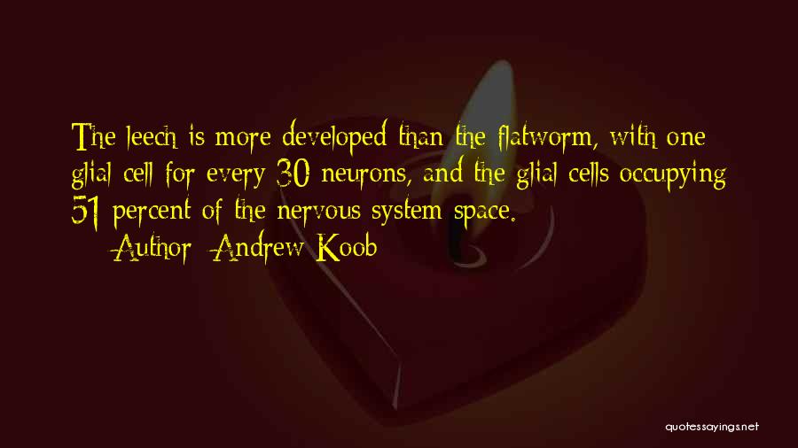 Andrew Koob Quotes: The Leech Is More Developed Than The Flatworm, With One Glial Cell For Every 30 Neurons, And The Glial Cells