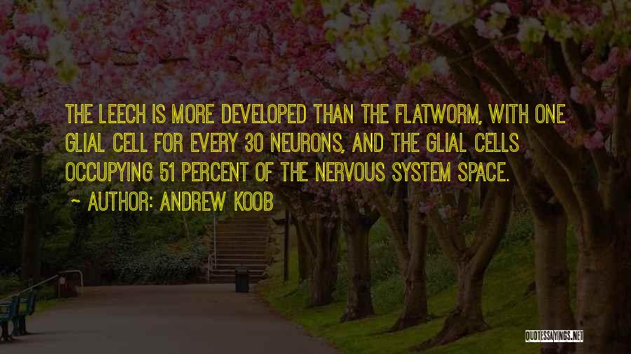 Andrew Koob Quotes: The Leech Is More Developed Than The Flatworm, With One Glial Cell For Every 30 Neurons, And The Glial Cells