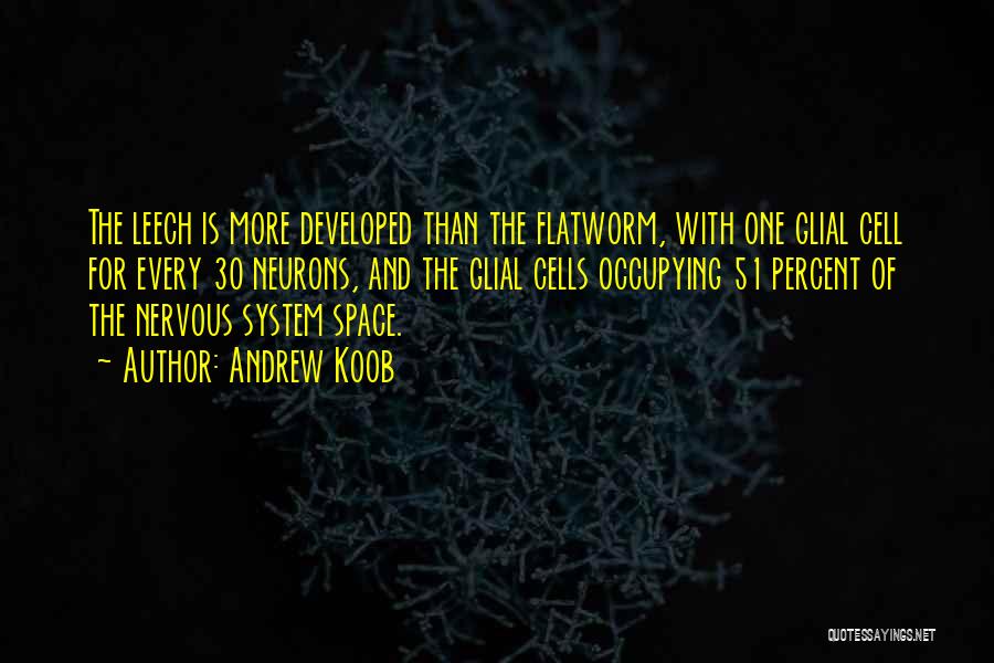 Andrew Koob Quotes: The Leech Is More Developed Than The Flatworm, With One Glial Cell For Every 30 Neurons, And The Glial Cells