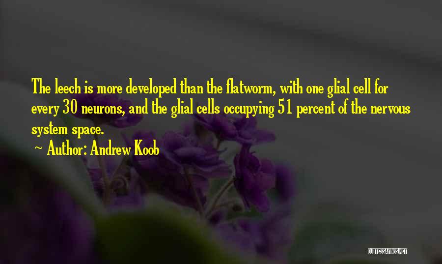 Andrew Koob Quotes: The Leech Is More Developed Than The Flatworm, With One Glial Cell For Every 30 Neurons, And The Glial Cells