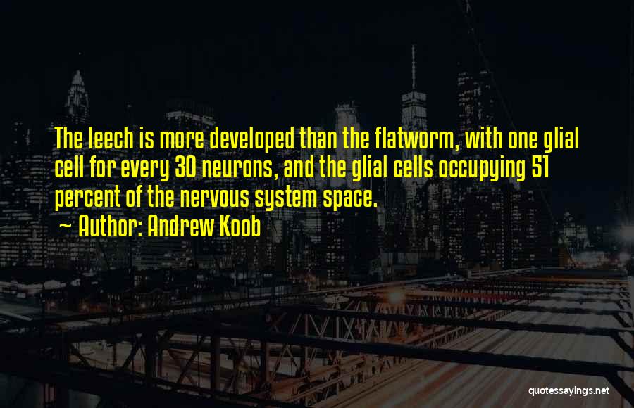 Andrew Koob Quotes: The Leech Is More Developed Than The Flatworm, With One Glial Cell For Every 30 Neurons, And The Glial Cells