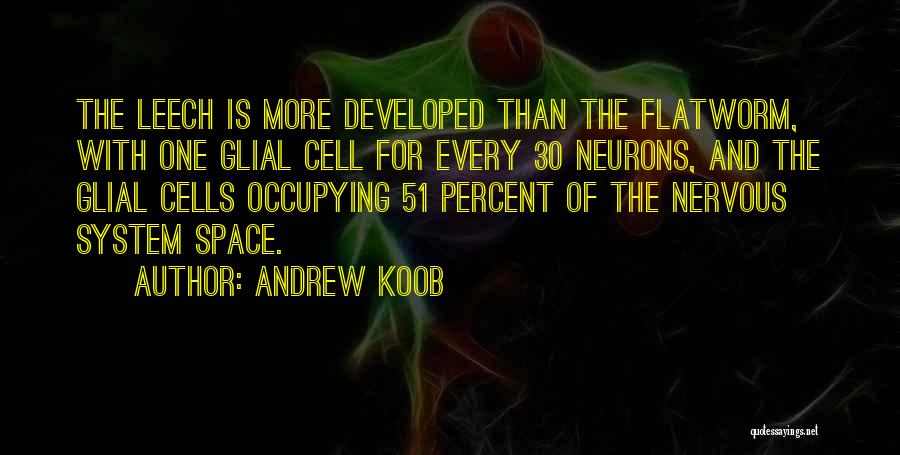 Andrew Koob Quotes: The Leech Is More Developed Than The Flatworm, With One Glial Cell For Every 30 Neurons, And The Glial Cells