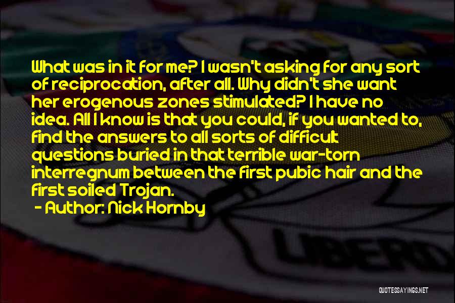 Nick Hornby Quotes: What Was In It For Me? I Wasn't Asking For Any Sort Of Reciprocation, After All. Why Didn't She Want