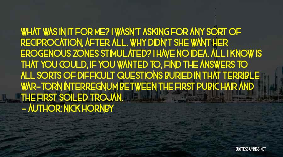 Nick Hornby Quotes: What Was In It For Me? I Wasn't Asking For Any Sort Of Reciprocation, After All. Why Didn't She Want