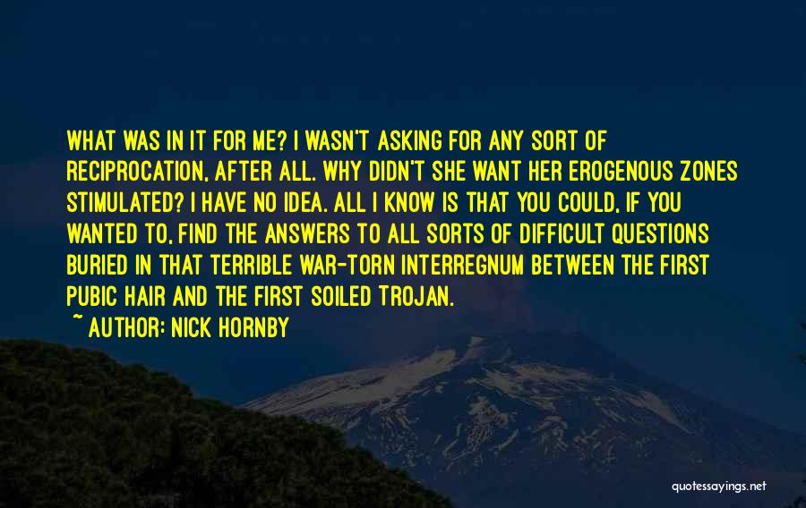 Nick Hornby Quotes: What Was In It For Me? I Wasn't Asking For Any Sort Of Reciprocation, After All. Why Didn't She Want