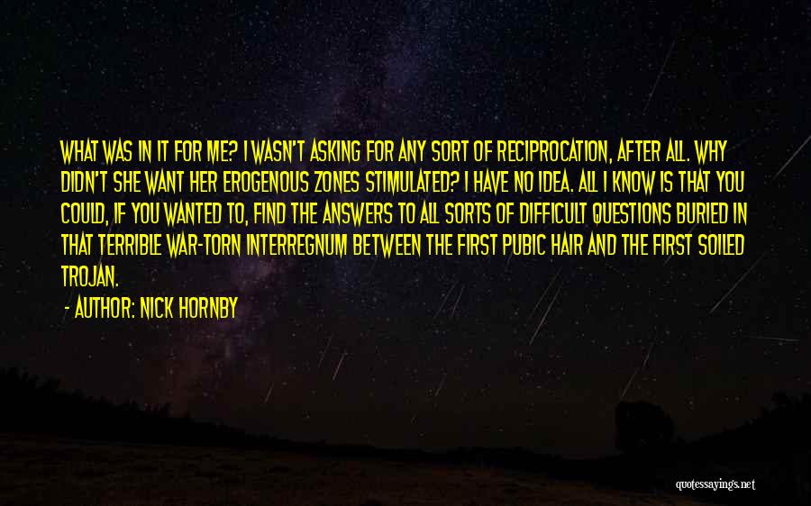 Nick Hornby Quotes: What Was In It For Me? I Wasn't Asking For Any Sort Of Reciprocation, After All. Why Didn't She Want