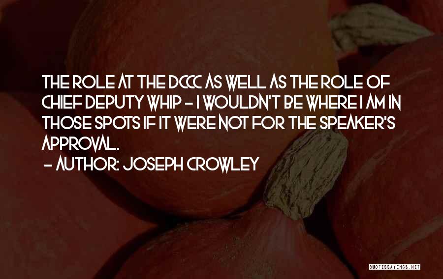 Joseph Crowley Quotes: The Role At The Dccc As Well As The Role Of Chief Deputy Whip - I Wouldn't Be Where I