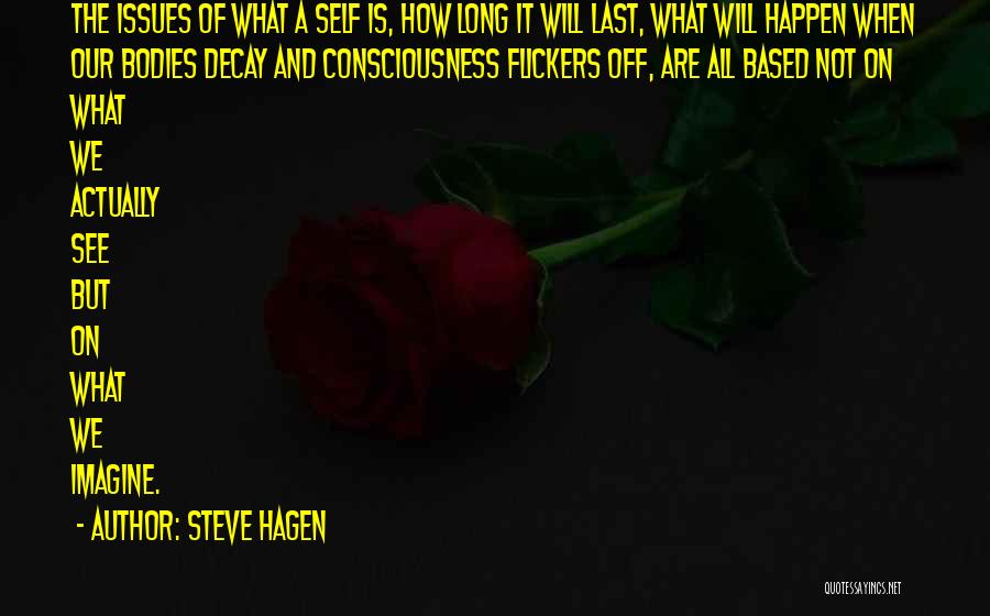 Steve Hagen Quotes: The Issues Of What A Self Is, How Long It Will Last, What Will Happen When Our Bodies Decay And