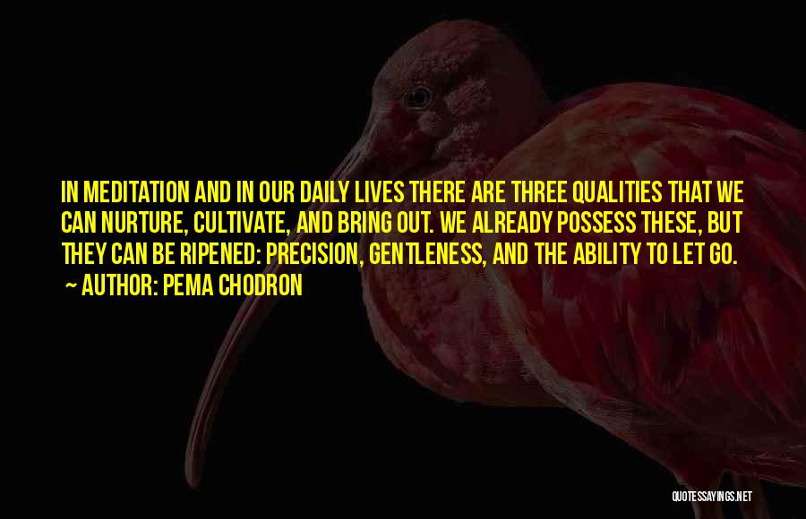 Pema Chodron Quotes: In Meditation And In Our Daily Lives There Are Three Qualities That We Can Nurture, Cultivate, And Bring Out. We