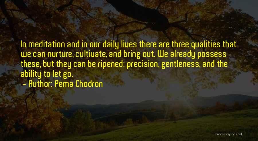 Pema Chodron Quotes: In Meditation And In Our Daily Lives There Are Three Qualities That We Can Nurture, Cultivate, And Bring Out. We