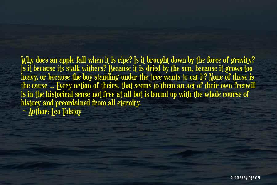 Leo Tolstoy Quotes: Why Does An Apple Fall When It Is Ripe? Is It Brought Down By The Force Of Gravity? Is It