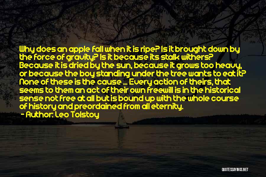 Leo Tolstoy Quotes: Why Does An Apple Fall When It Is Ripe? Is It Brought Down By The Force Of Gravity? Is It