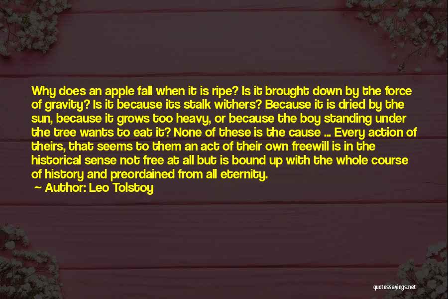 Leo Tolstoy Quotes: Why Does An Apple Fall When It Is Ripe? Is It Brought Down By The Force Of Gravity? Is It