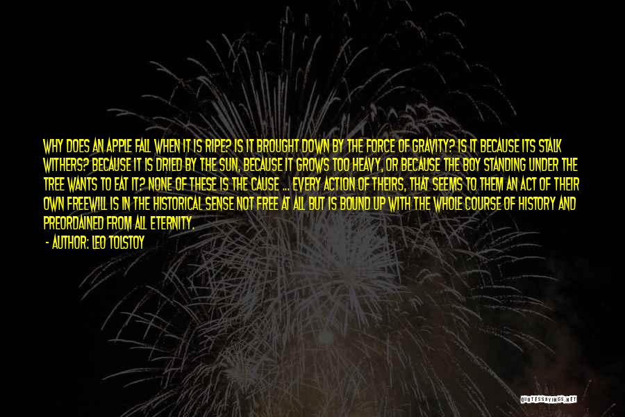 Leo Tolstoy Quotes: Why Does An Apple Fall When It Is Ripe? Is It Brought Down By The Force Of Gravity? Is It