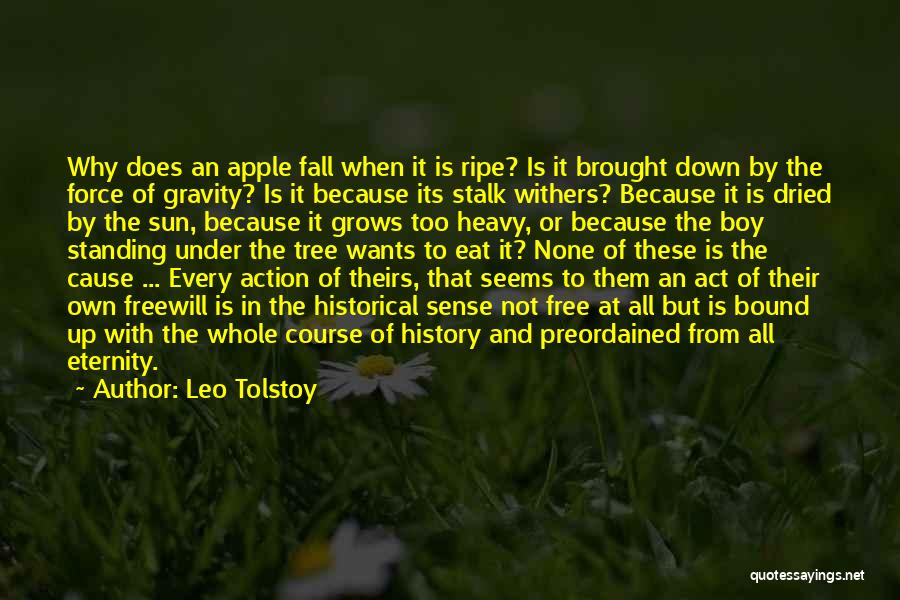 Leo Tolstoy Quotes: Why Does An Apple Fall When It Is Ripe? Is It Brought Down By The Force Of Gravity? Is It