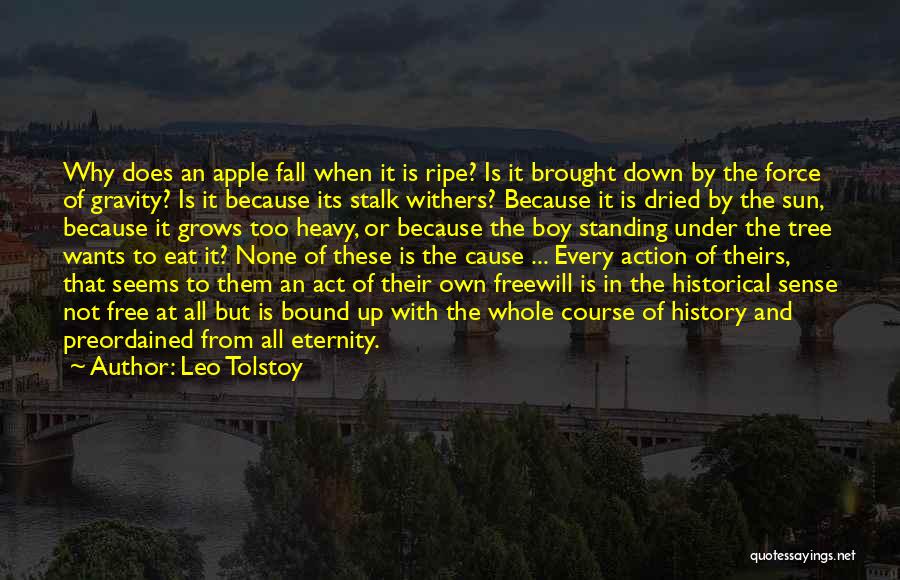 Leo Tolstoy Quotes: Why Does An Apple Fall When It Is Ripe? Is It Brought Down By The Force Of Gravity? Is It