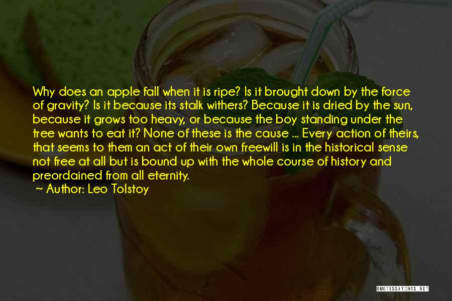 Leo Tolstoy Quotes: Why Does An Apple Fall When It Is Ripe? Is It Brought Down By The Force Of Gravity? Is It