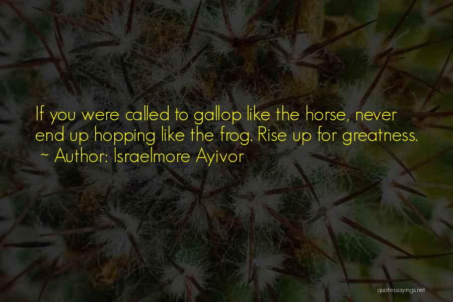 Israelmore Ayivor Quotes: If You Were Called To Gallop Like The Horse, Never End Up Hopping Like The Frog. Rise Up For Greatness.
